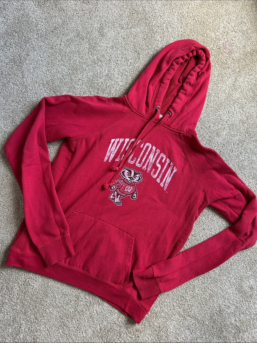 Wisconsin Red Hoodie with Mascot Graphic